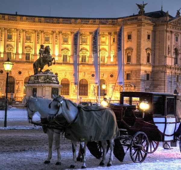 Christmassy Vienna - Photo 16