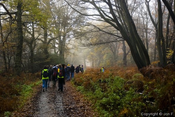 Fieldtrip to Epping Forest - Photo 16